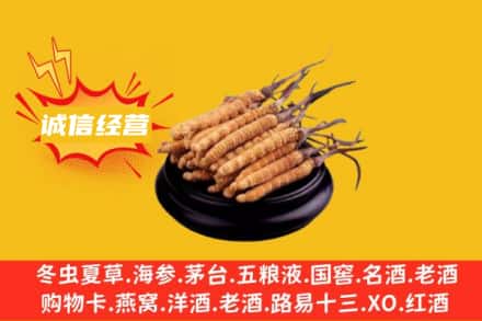 中卫回收冬虫夏草